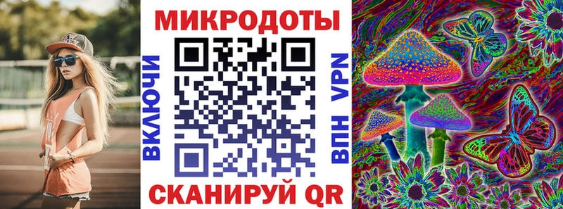 Галлюциногенные грибы Psilocybe  KRAKEN рабочий сайт  Николаевск-на-Амуре 